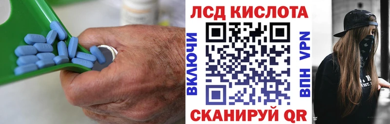 где найти наркотики  Новоузенск  ЛСД экстази ecstasy 