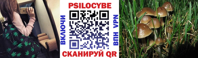 Псилоцибиновые грибы MAGIC MUSHROOMS Новоузенск